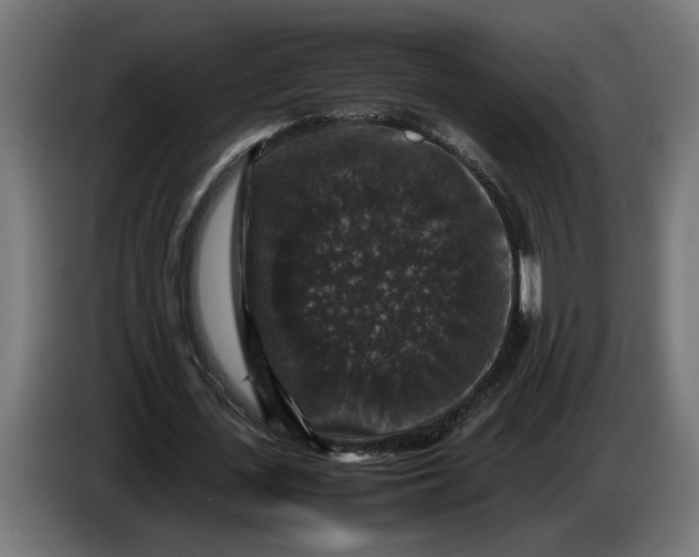 X0000087420723200705041307