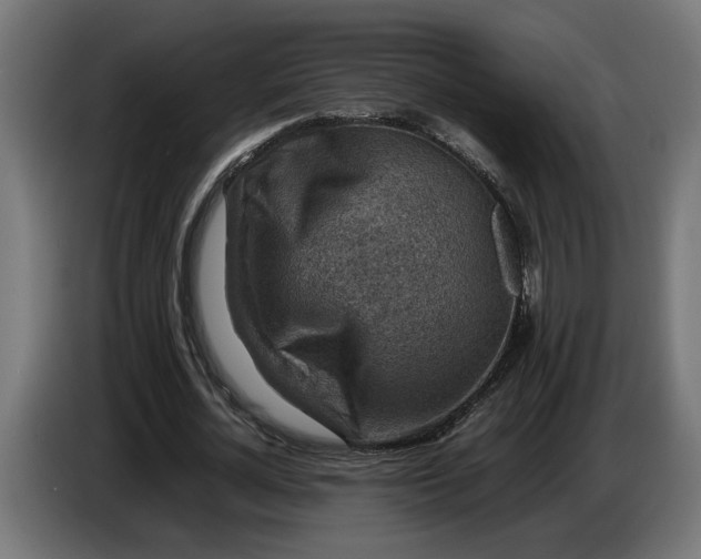X0000087420724200705041307