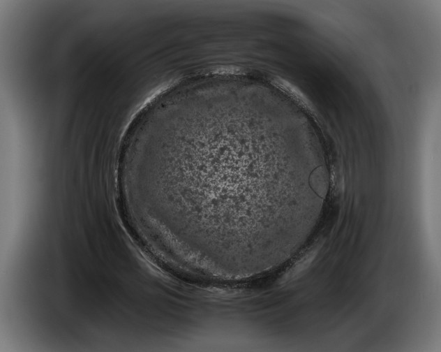 X0000087420725200705041307