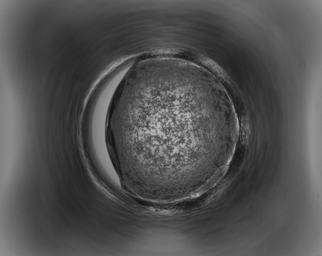 X0000087420726200705041307