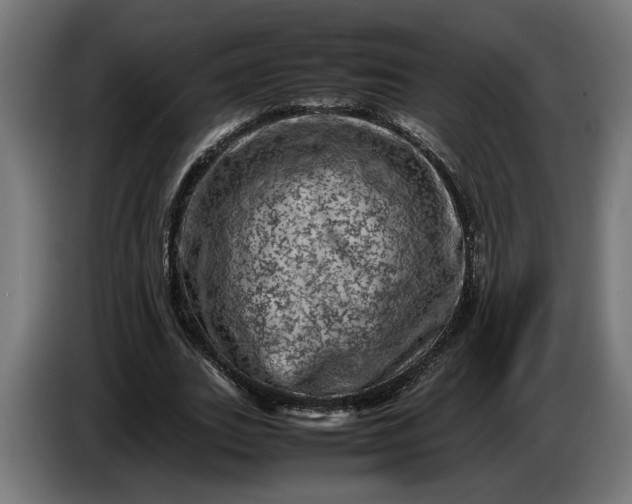 X0000087420727200705041307