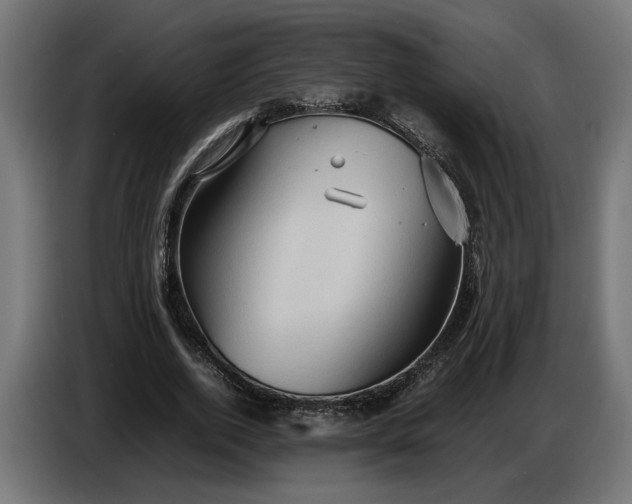 X0000087420728200705041307