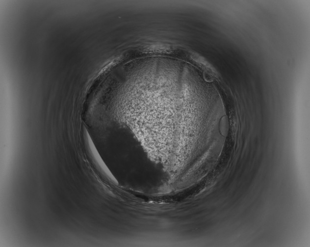 X0000087420729200705041307