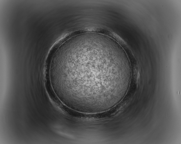 X0000087420730200705041307