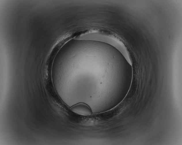 X0000087420731200705041307