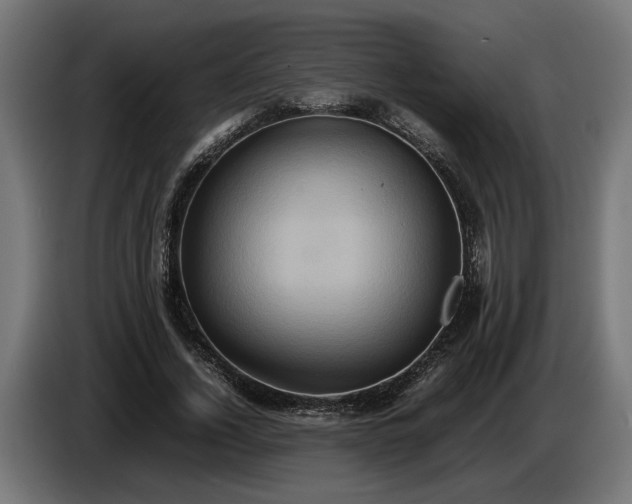X0000087420732200705041307