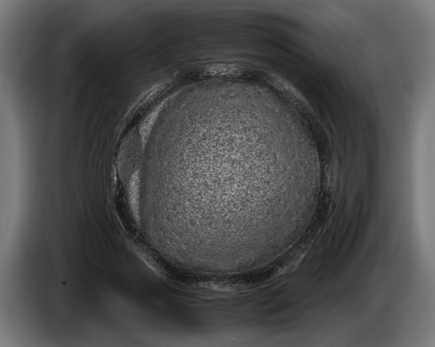 X0000087420733200705041307