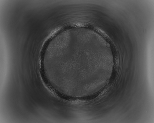 X0000087420734200705041307