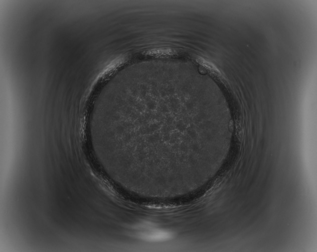 X0000087420735200705041307