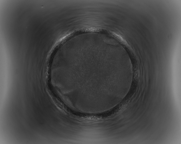 X0000087420736200705041307