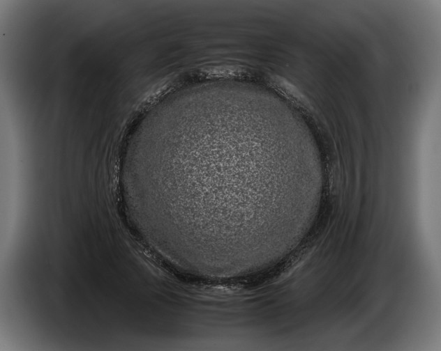 X0000087420737200705041307