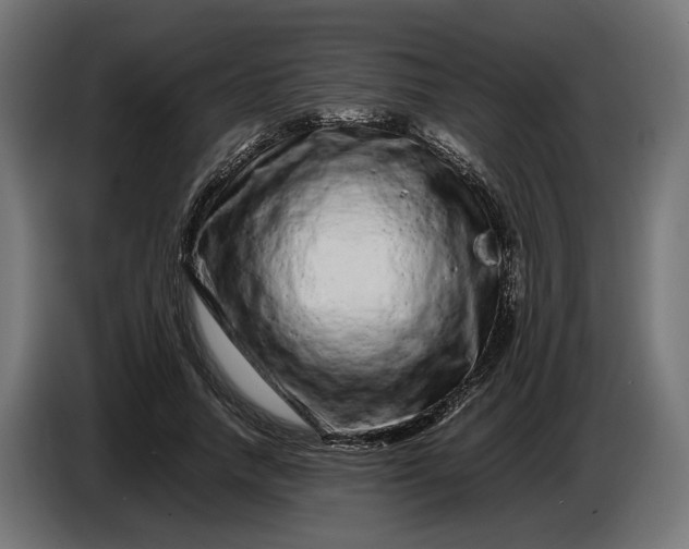 X0000087420738200705041307