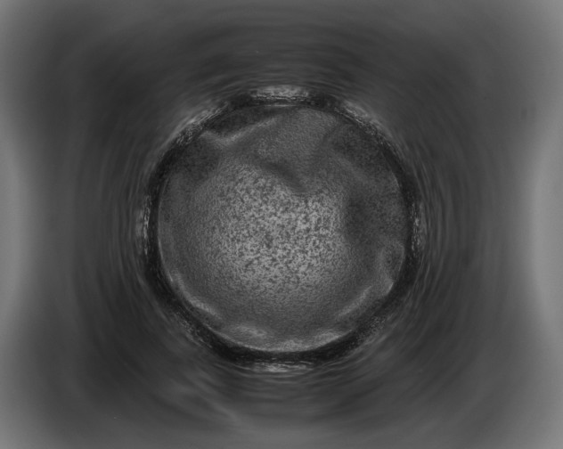 X0000087420739200705041307