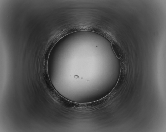 X0000087420740200705041307
