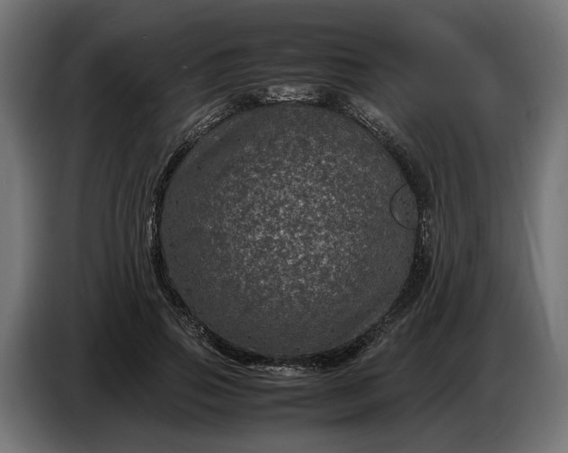 X0000087420741200705041307