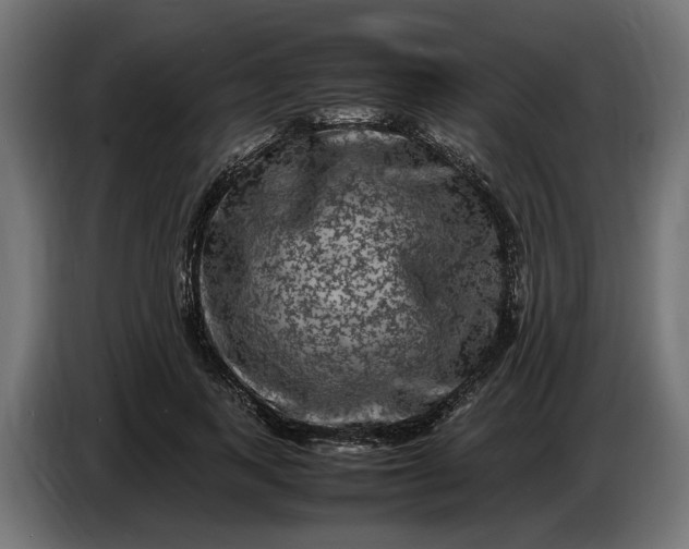 X0000087420743200705041307