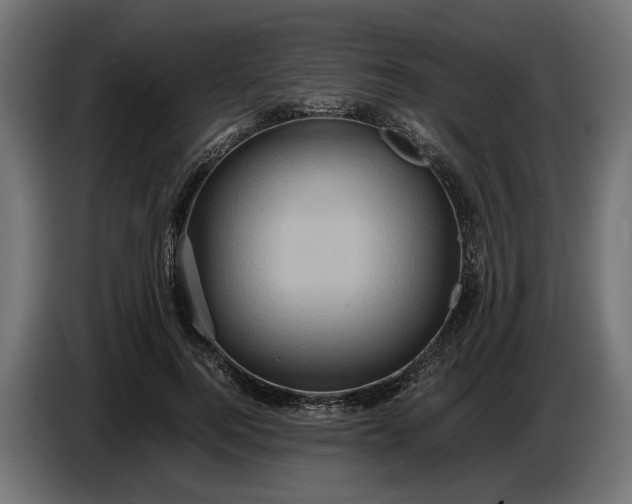 X0000087420744200705041307