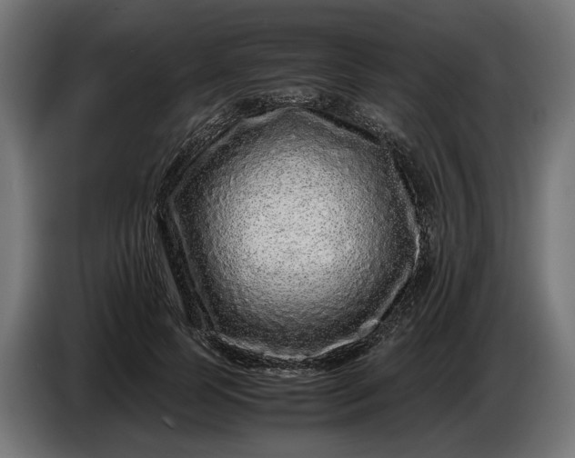 X0000087420745200705041307