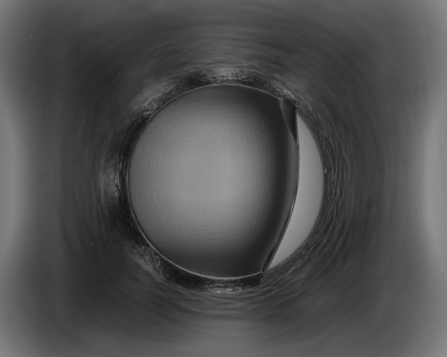 X0000087420746200705041307