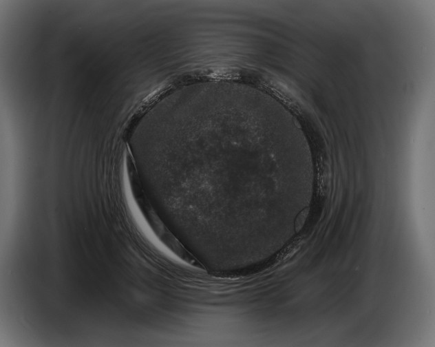 X0000087420748200705041307