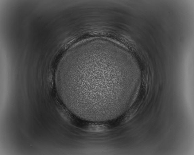 X0000087420749200705041307