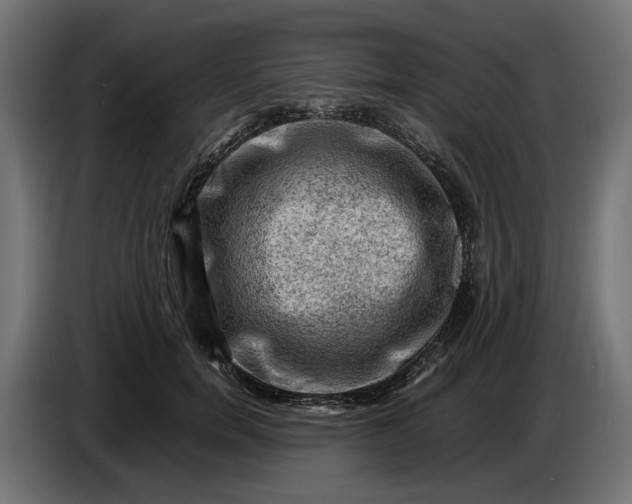 X0000087420750200705041307