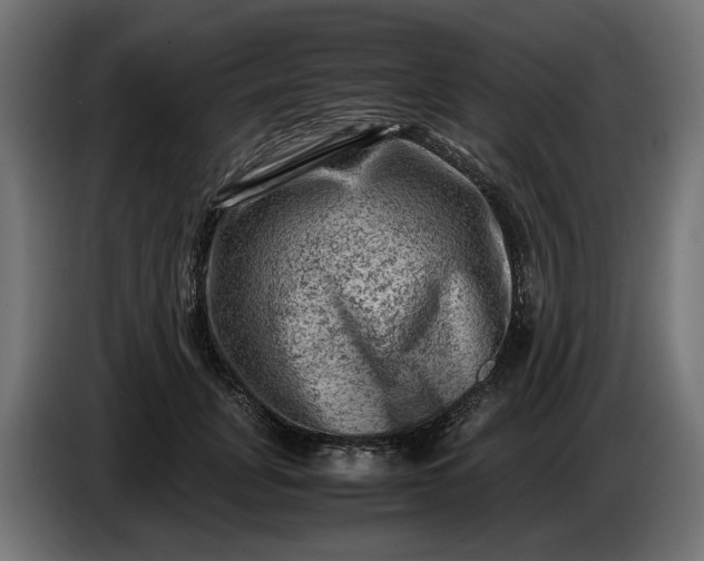 X0000087420751200705041307