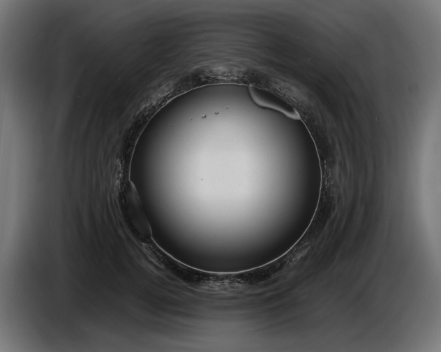 X0000087420752200705041307