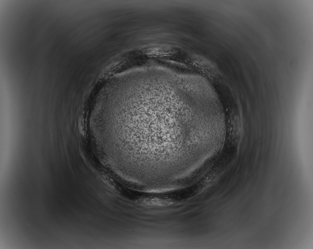 X0000087420755200705041307