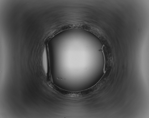 X0000087420756200705041307