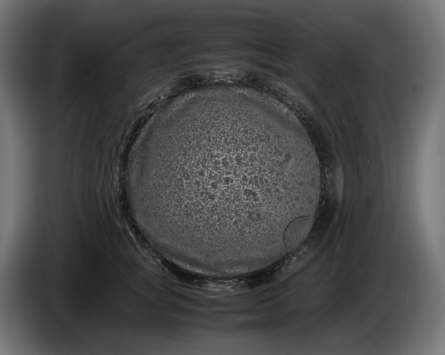X0000087420757200705041307