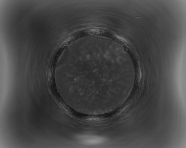 X0000087420759200705041307