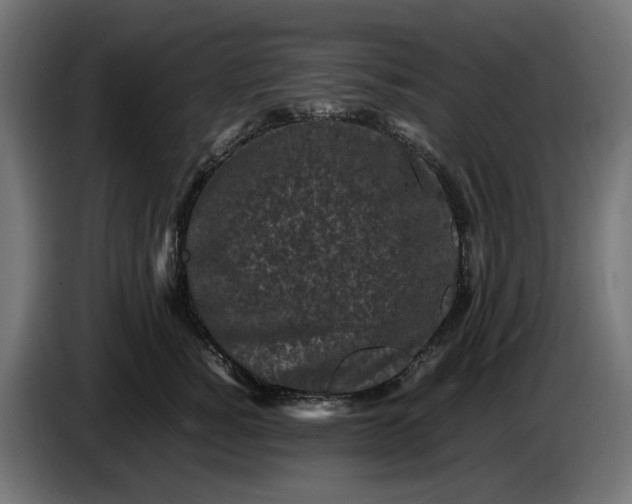 X0000087420760200705041307