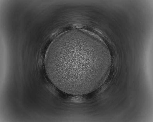 X0000087420761200705041307