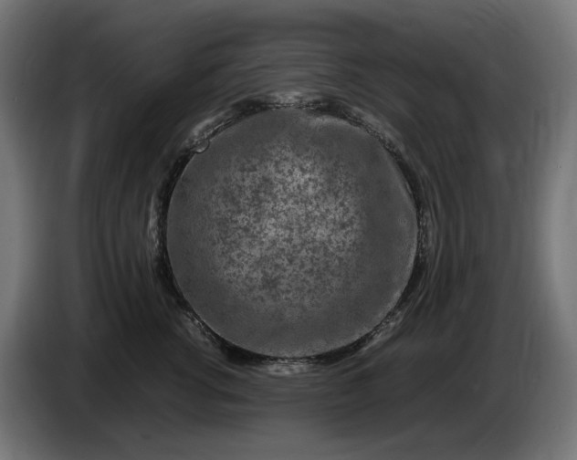 X0000087420762200705041307