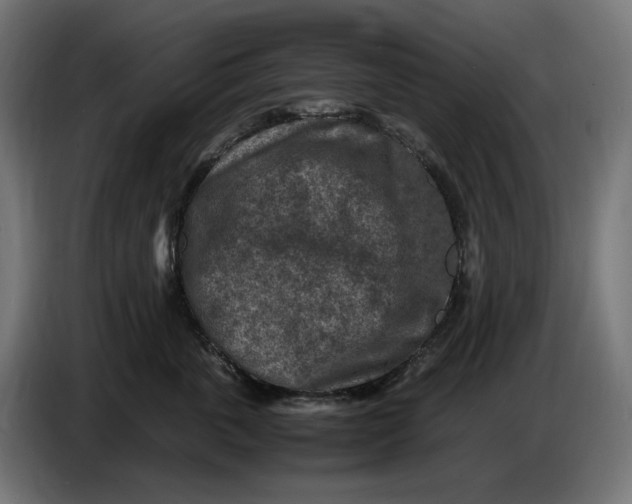 X0000087420763200705041307