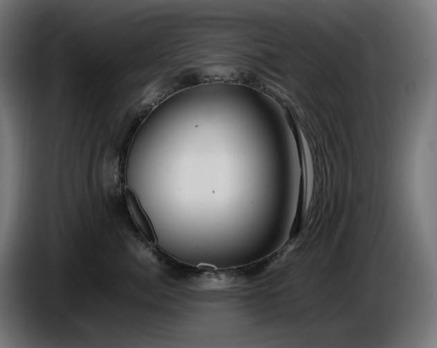 X0000087420764200705041307