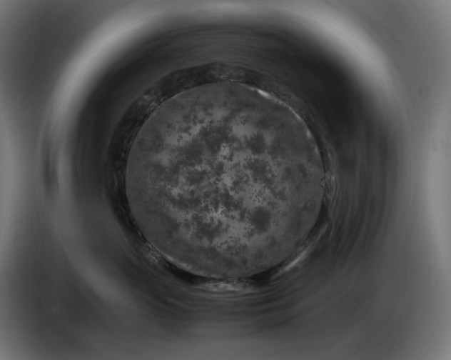 X0000087420765200705041308