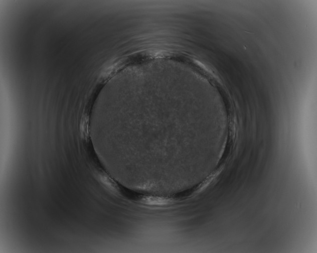 X0000087420766200705041308