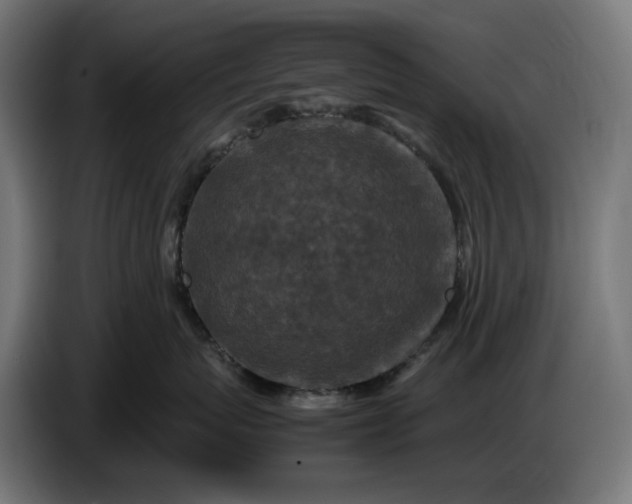 X0000087420767200705041308
