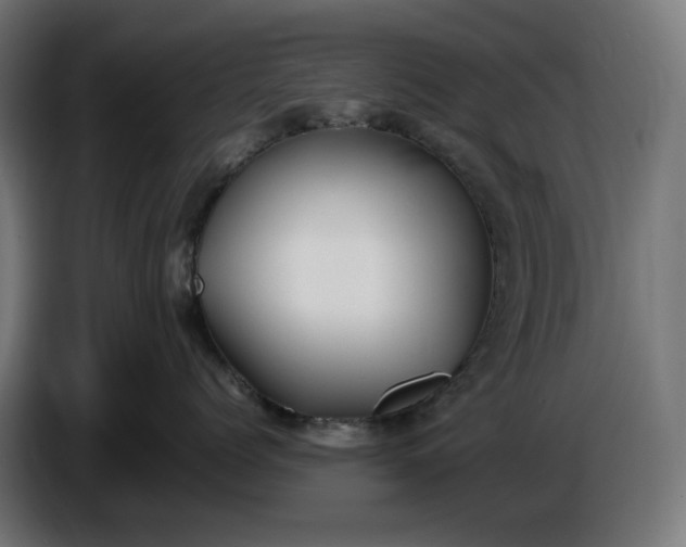 X0000087420768200705041308