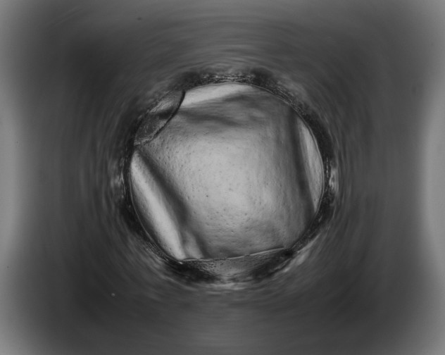 X0000087420771200705041307