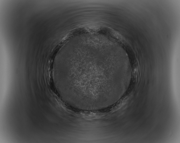 X0000087420772200705041307
