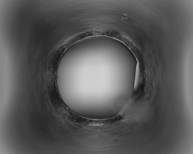 X0000087420773200705041307