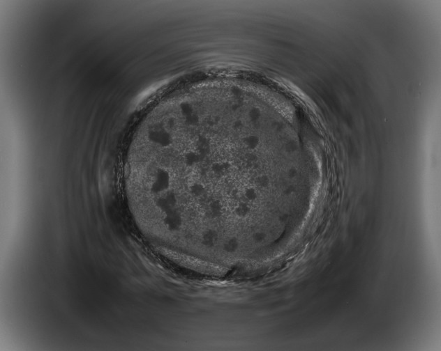 X0000087420775200705041307
