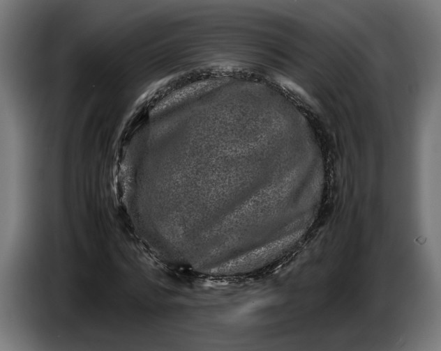 X0000087420776200705041307