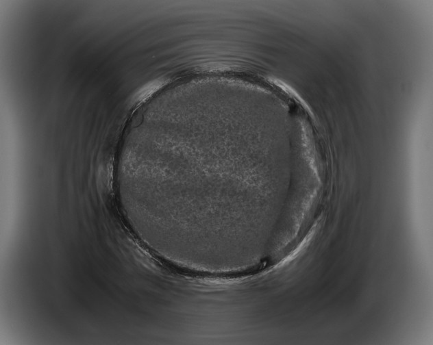 X0000087420777200705041307