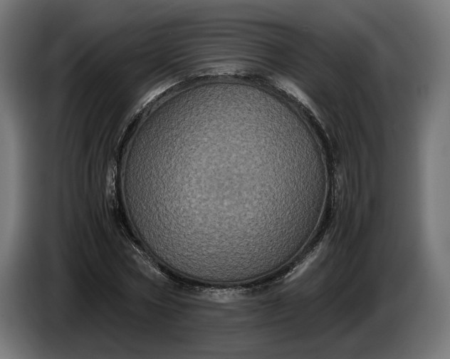 X0000087420778200705041307