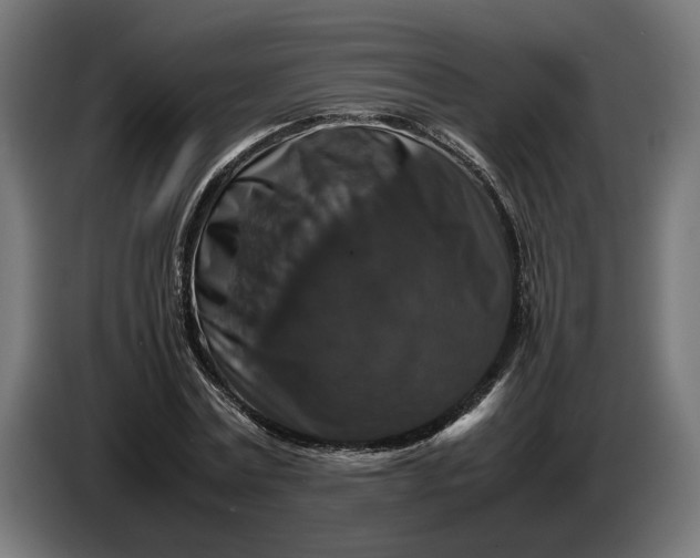 X0000087420779200705041307