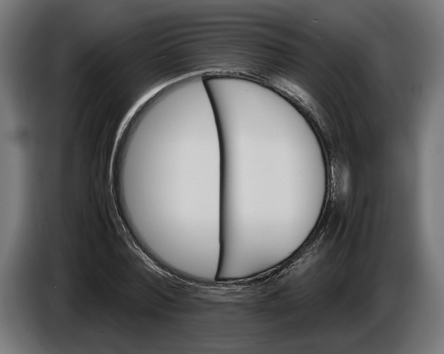 X0000087420780200705041307